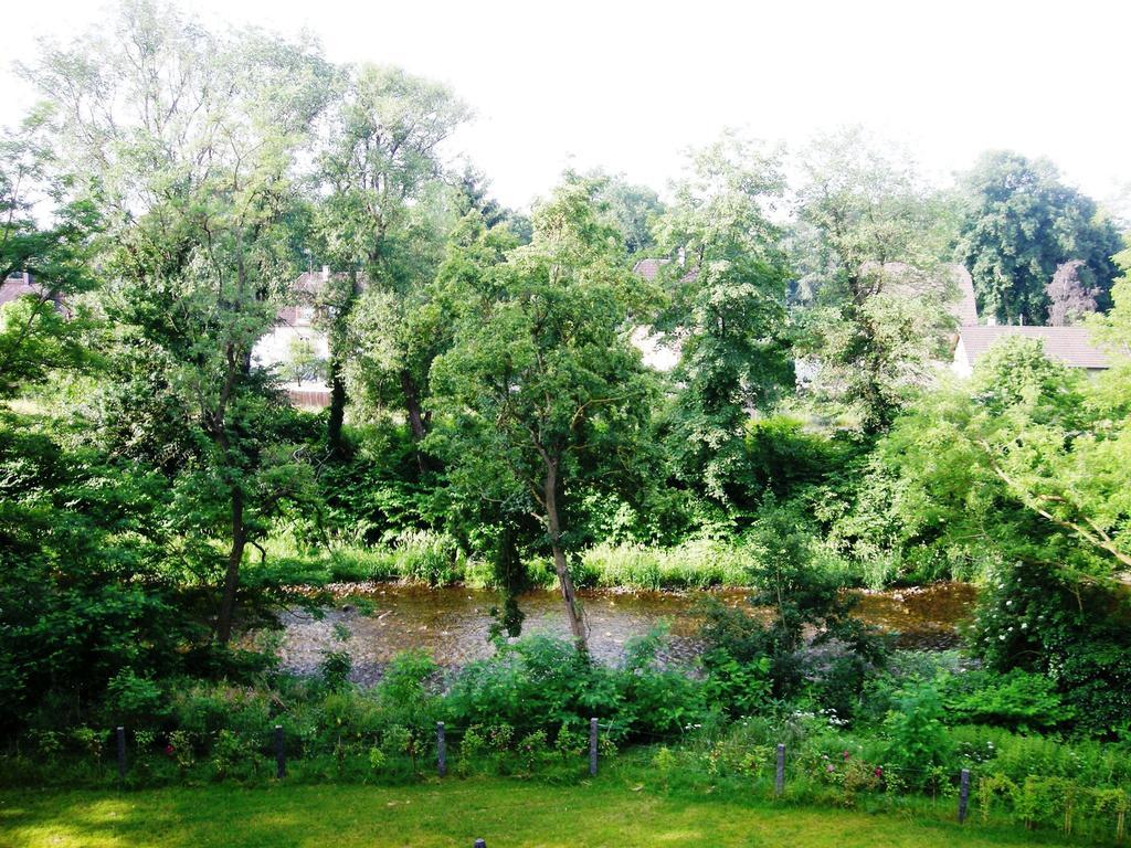 Aux Berges De La Thur Staffelfelden Εξωτερικό φωτογραφία