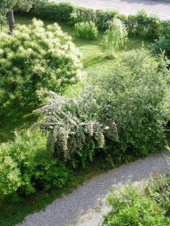 Aux Berges De La Thur Staffelfelden Εξωτερικό φωτογραφία
