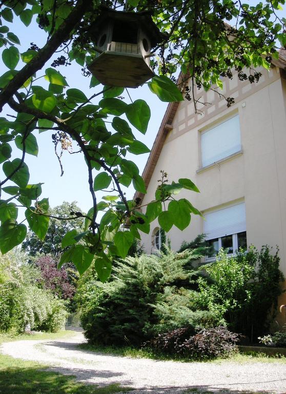 Aux Berges De La Thur Staffelfelden Εξωτερικό φωτογραφία