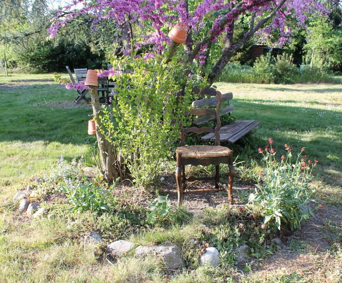 Aux Berges De La Thur Staffelfelden Εξωτερικό φωτογραφία